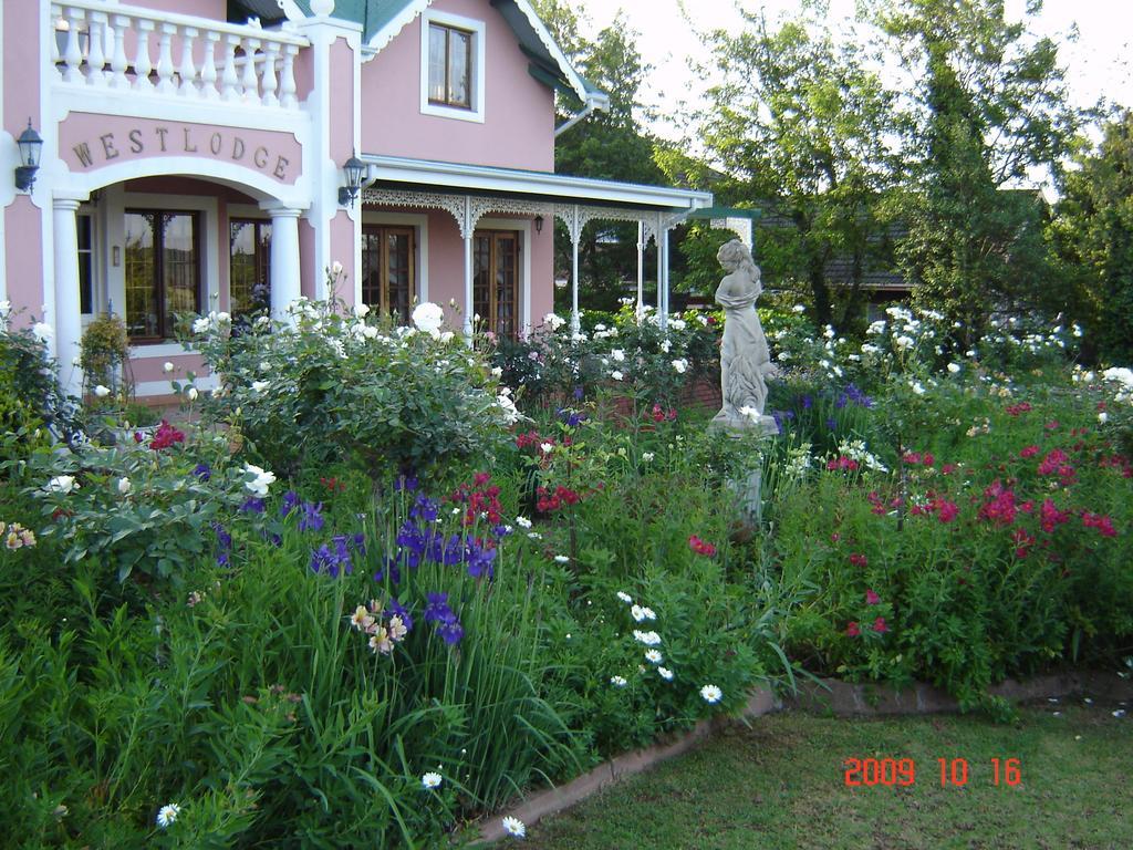 Westlodge At Graskop B&B מראה חיצוני תמונה